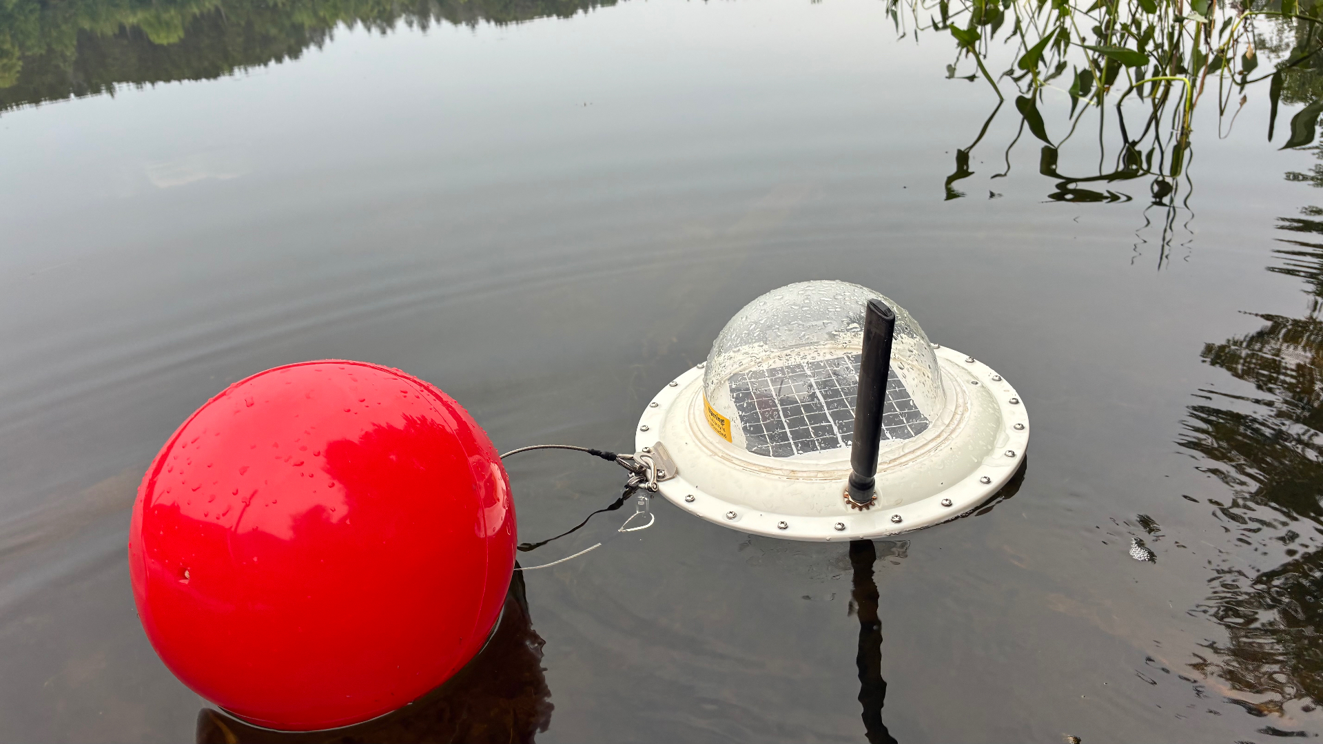 A flat-lay of sampling gear, meters, bottles, and a field notebook arranged on a dock
