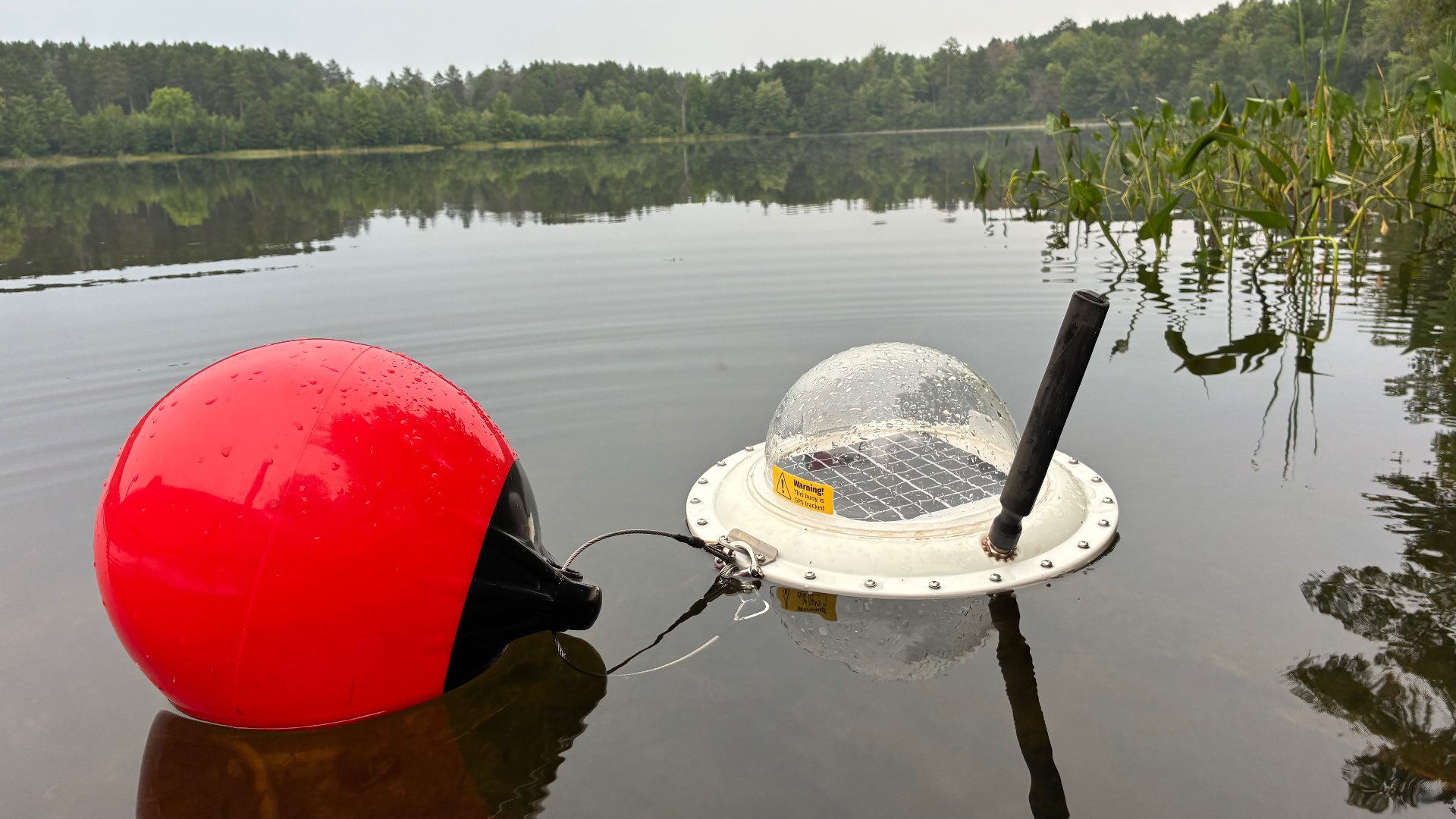 A red marker buoy and a clear-domed monitoring buoy floating on a calm forested lake