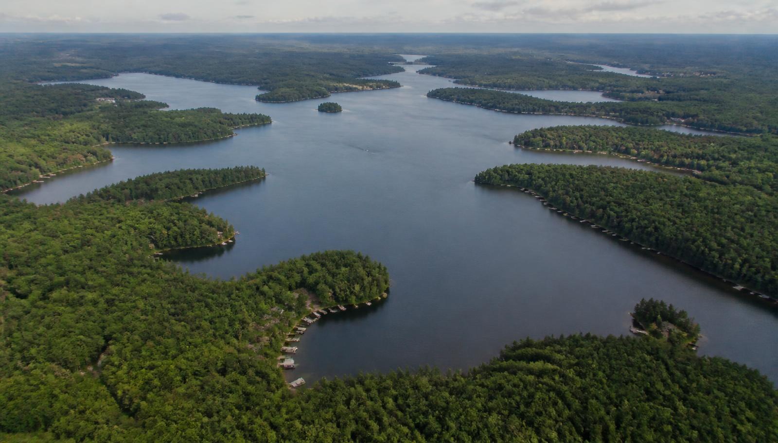 Aerial view of a lake with its shoreline, coves, and inlets, as shown on the Portal map