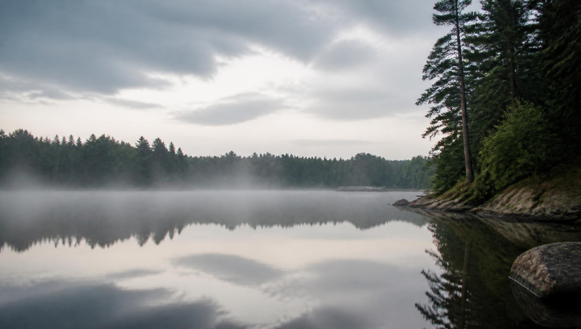 A still northern lake at dawn with mist over the water and a forested shoreline