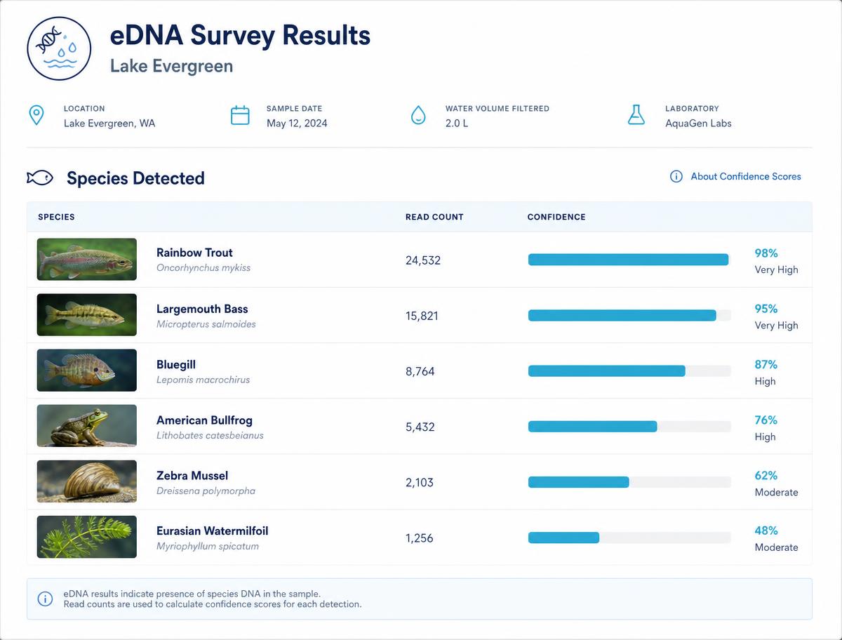 An eDNA survey summary listing detected fish and aquatic species with read counts and confidence scores