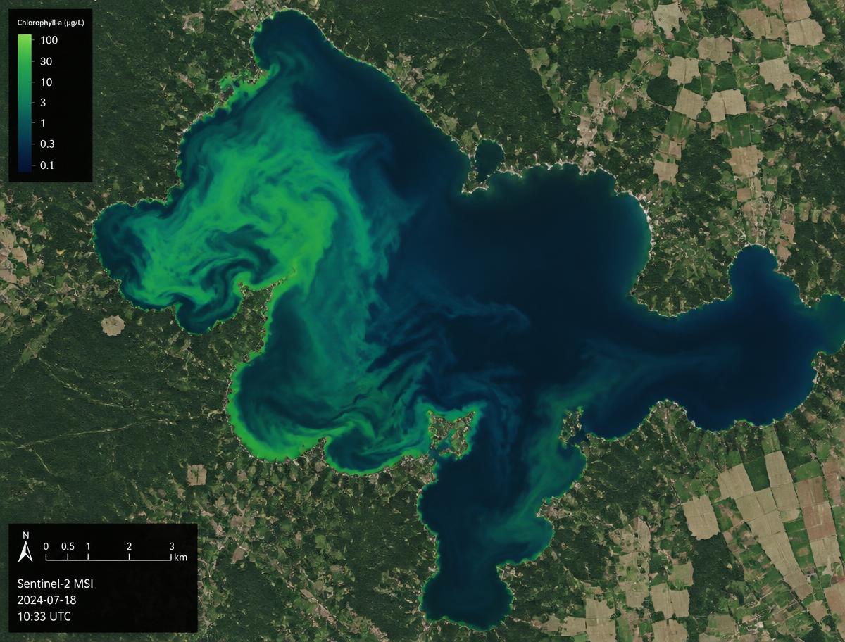 A satellite chlorophyll-a image of an inland lake showing a green algal bloom concentrated in one arm of the lake